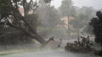 إعصار ميلتون، إنقاذ رجل متشبث بصندوق والحيوانات بخير