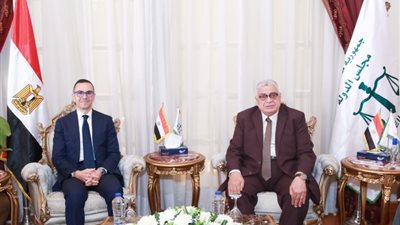 رئيس مجلس الدولة يستقبل وزير الاستثمار والتجارة الخارجية
