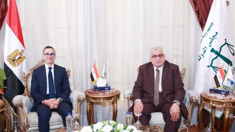 مجلس الدولة