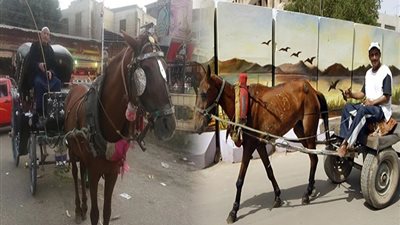 «عربجي بلاحمار»،ارتفاع أسعار الحديد والخشب والاكسسوارات تهدد صناعة «الكارو»