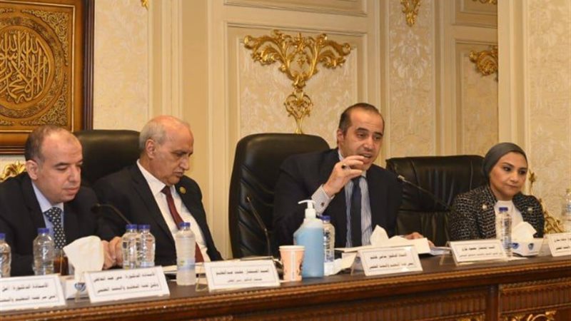 المستشار محمود فوزي