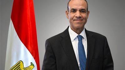 بدر عبد العاطي: مصر نجحت بامتياز في تحقيق مبدأ الاتزان الاستراتيجي