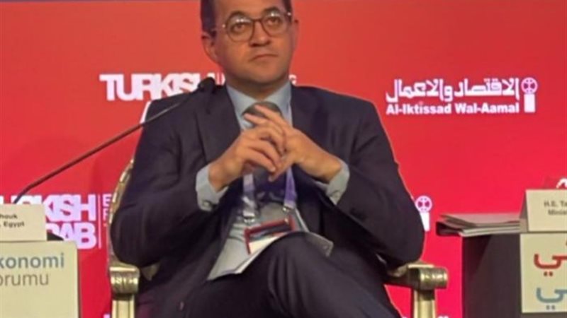 وزير المالية