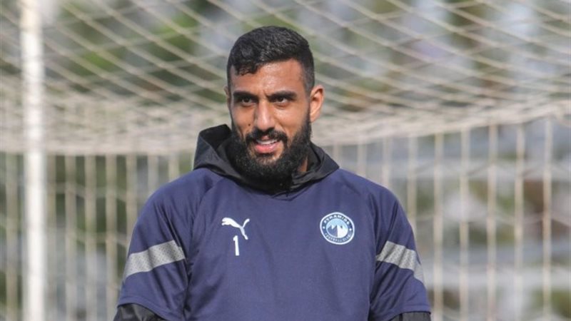 أحمد الشناوي