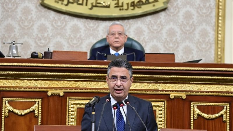 شريف فاروق وزير التموين أمام الجلسة العامة