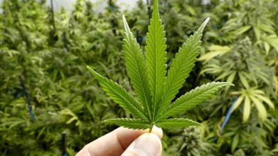 ضبط مسجل خطر لترويجه واتجار في المخدرات ببولاق الدكرور