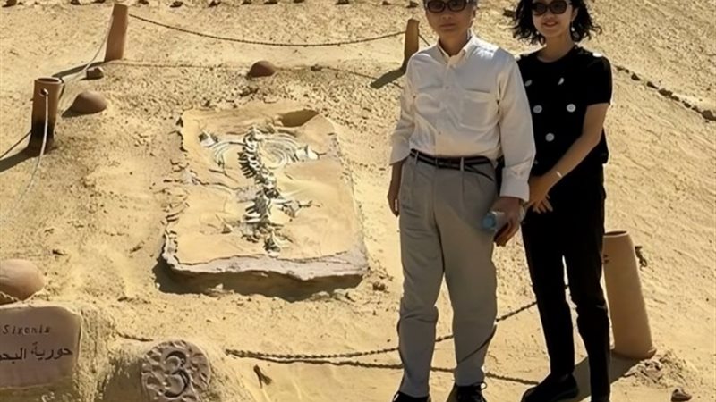 السفير الياباني في مصر، أوكا هيروشي