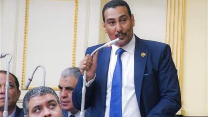 النائب محمد الجبلاوي