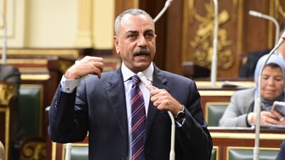 برلماني: كلمة الرئيس السيسي تجسد روح الإرادة والتحدي لدى الشعب المصري