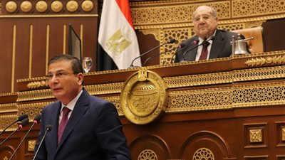 وزير الزراعة يعرض أبرز جهود الدولة لزيادة الرقعة وتحسين الإنتاجية أمام مجلس الشيوخ