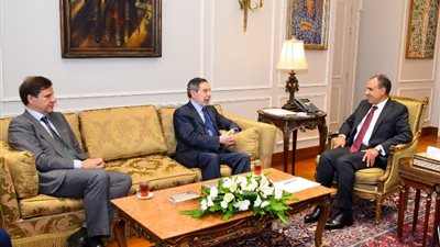 وزير الخارجية: نتطلع لتعزيز العلاقات الاقتصادية بين مصر والبرازيل