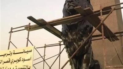 أول رد من وزارة السياحة على واقعة 
