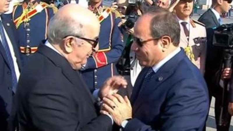 الرئيس السيسي ونظيره الجزائري