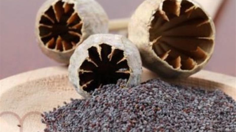 مخدر الأفيون