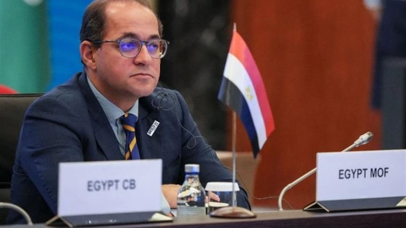 وزير المالية