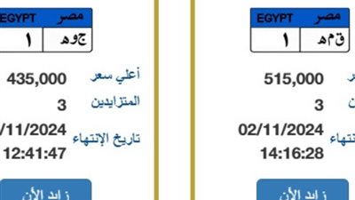 «لو عايز نمرة لعربيتك»، المرور تطرح لوحات معدنية مميزة للتزايد عليها