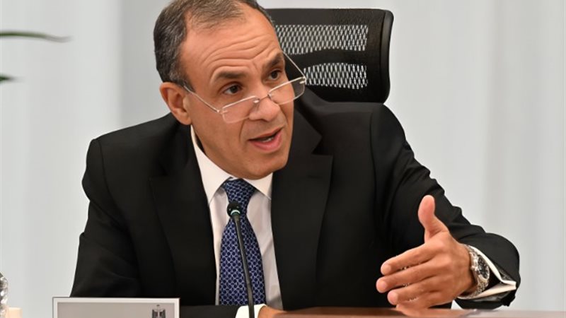 وزير الخارجية الدكتور بدر عبد العاطي