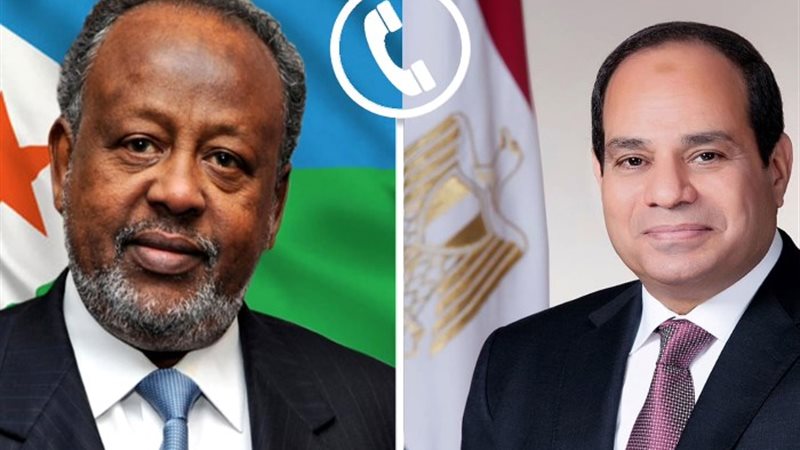 السيسي ونظيره الجيبوتي