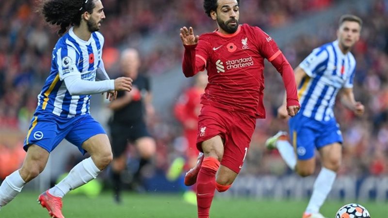 ليفربول وبرايتون
