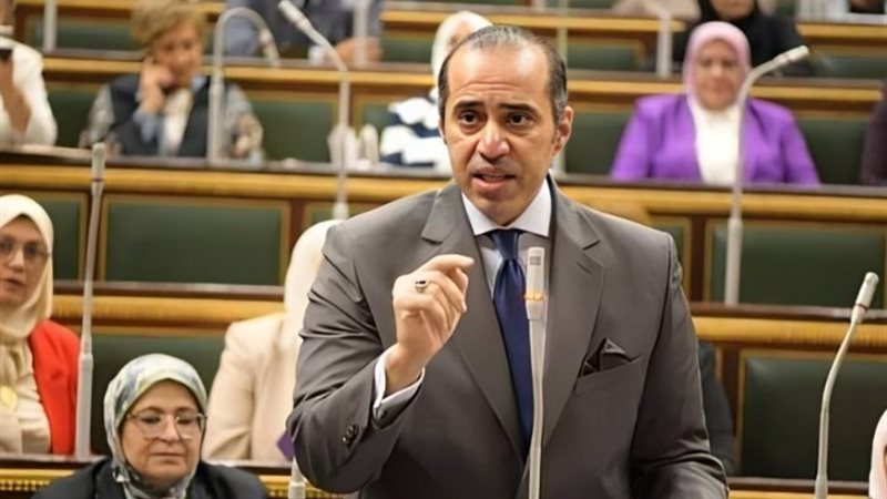 المستشار محمود فوزي، وزير الشئون النيابية والقانونية والتوا