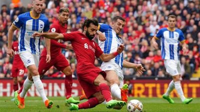 الموعد والقنوات الناقلة مباراة ليفربول وبرايتون في الدوري الإنجليزي