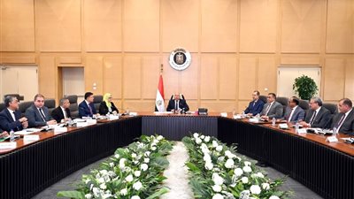 نائب رئيس الوزراء: هيئة التنمية الصناعية دورٍها محوري لتحقيق آمال المصريين