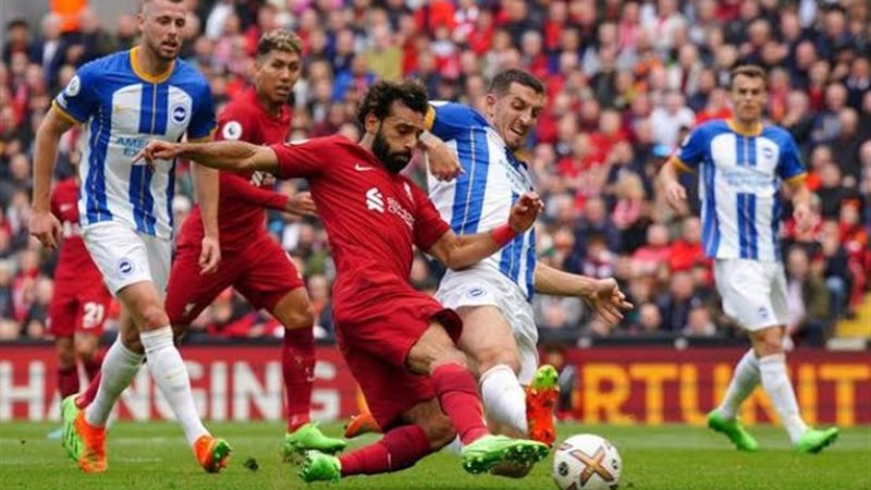 ليفربول وبرايتون