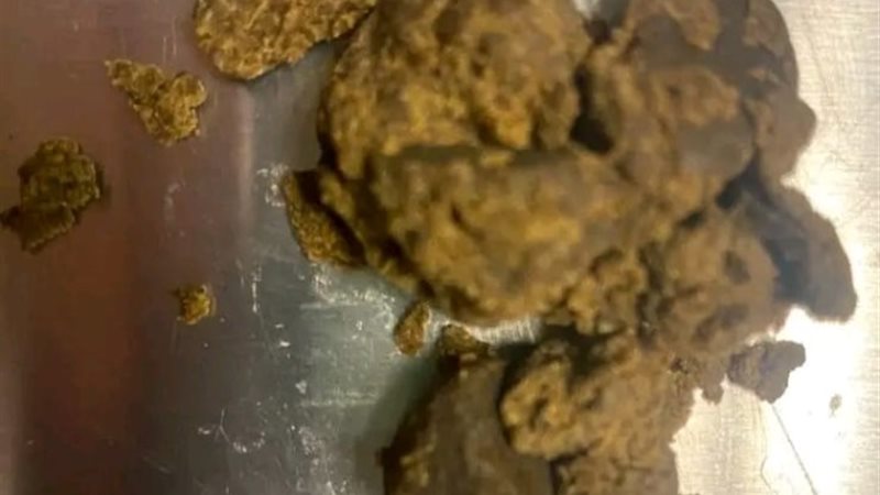 مخدر الحشيش المضبوط
