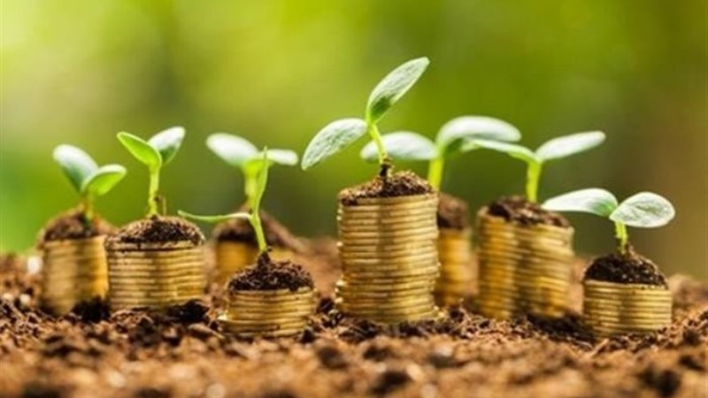 الاستثمارات الخضراء