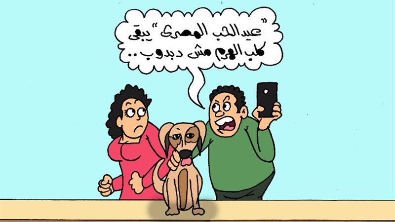 كارتير موقع الجمهور