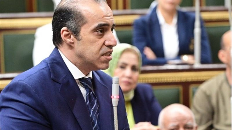 المستشار محمود فوزي