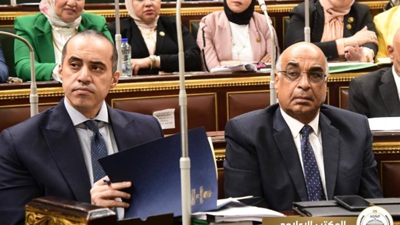 المستشار محمود فوزي
