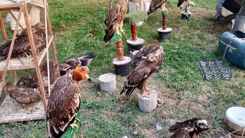 إنقاذ 20 حيواناً مهدداً بالانقراض