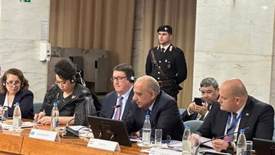وزير الكهرباء: مصر لديها استراتيجية تقوم على مصادر الطاقة المتجددة