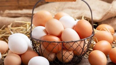 150 جنيها للطبق، «القابضة الغذائية» تٌعلن استمرار ضخ البيض التركي بمنافذها
