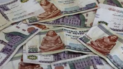 للفتيات، كيف تحصلين على معاش 12 شهرا دفعة واحدة منحة زواج دون رد