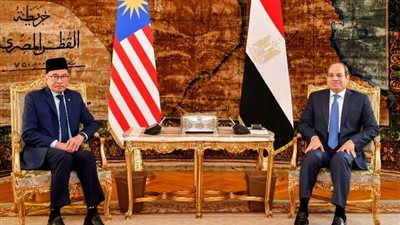 الرئيس السيسي: نهنئ أنفسنا بمرور 65 عاما على العلاقات بين مصر وماليزيا