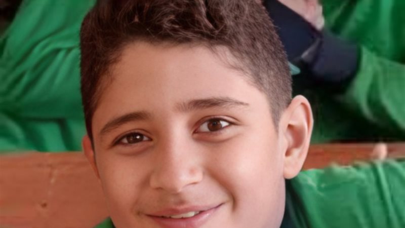 الطفل أنس - أرشيفية