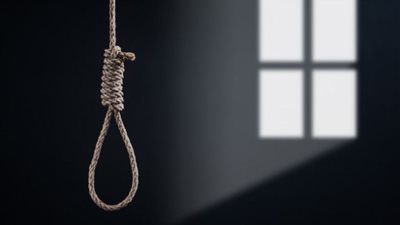 قتلها بقالب طوب جنب المواشي، جنايات كفر الشيخ تحيل أوراق قاتل زوجته للمفتي