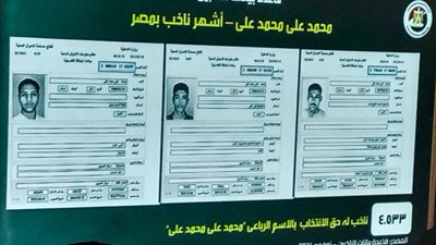 بعد تكرار اسمه آلاف المرات بصناديق الاقتراع، من هو أشهر ناخب في مصر؟