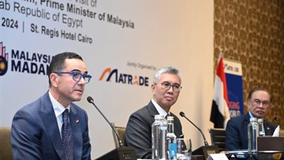 مصر وماليزيا تبحثان تطوير الاستثمارات في الطاقة والتحول الرقمي