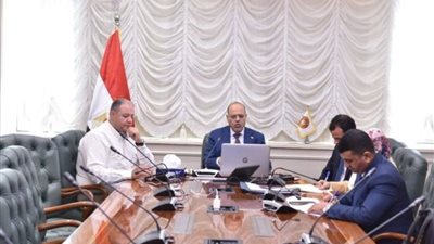 محمد جبران: فرص عمل للمصريين بالخارج في 9 دول عربية وأوروبية