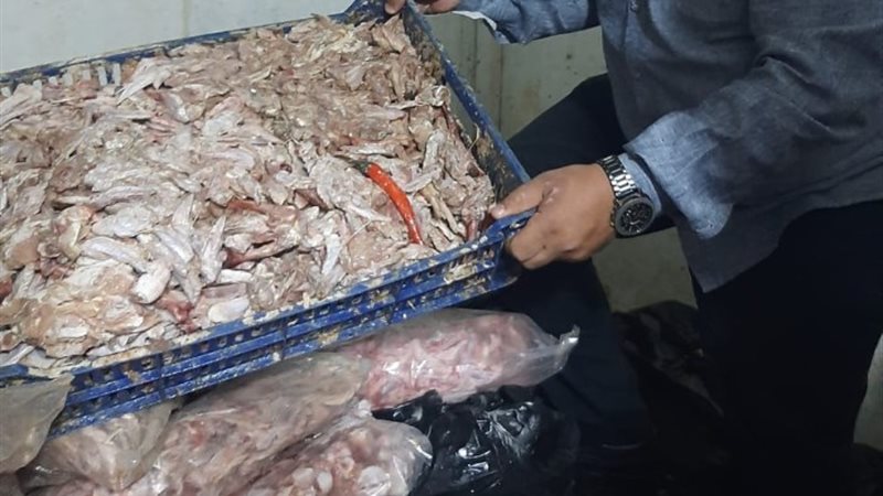 جانب من المضبوطات