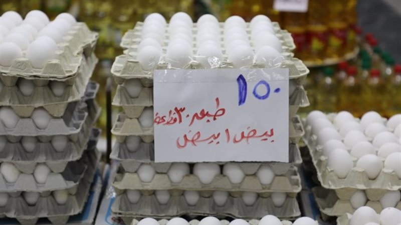 كراتين بيض المائدة بالجيزة
