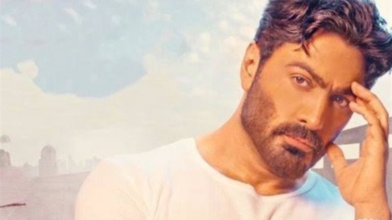 تامر حسني