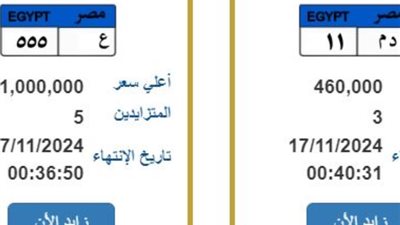 سعرها يقارب الـ3 ملايين جنيه، المرور تطرح لوحات معدنية مميزة للتزايد عليها