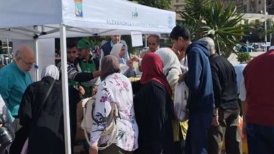 135 جنيها لكيلو الدواجن البرازيلي والمحلي بسوق اليوم الواحد في القاهرة
