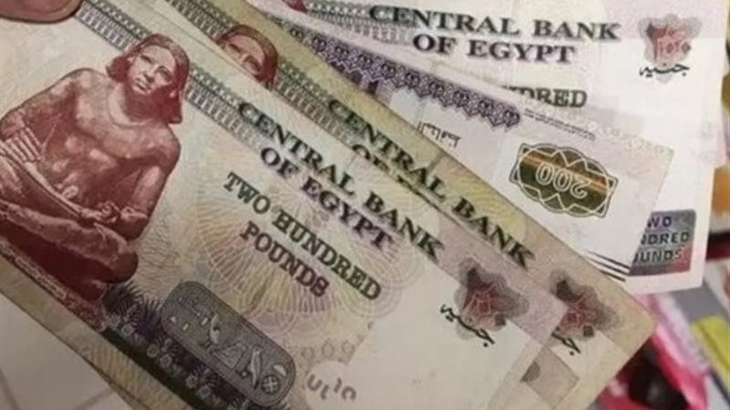 زيادة المرتبات للعاملين بالقطاع الخاص