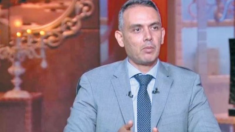 هاني جنينة الخبير الاقتصادي