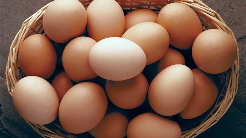 بيض المائدة - أرشيفية